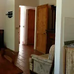 Marco & Andrea Collepina アメリア