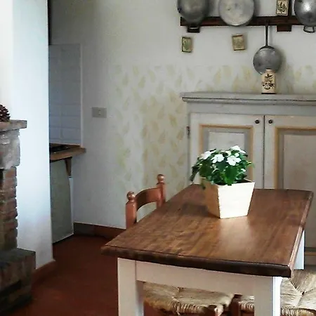 Marco & Andrea Collepina Amelia