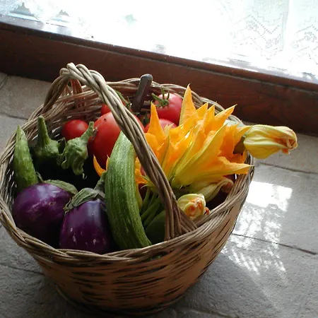 Marco & Andrea Collepina Feriegård