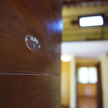 Marco & Andrea Collepina Amelia