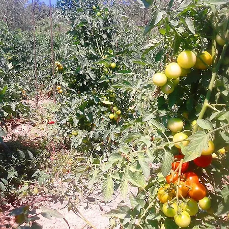 Alloggio per agriturismo Marco&andrea *