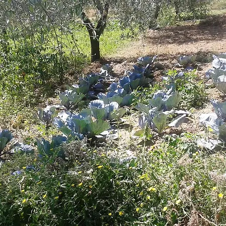 Marco&andrea Alloggio per agriturismo