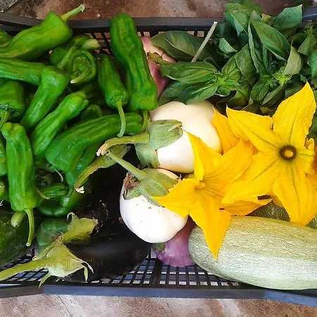 Marco&andrea Alloggio per agriturismo Amelia