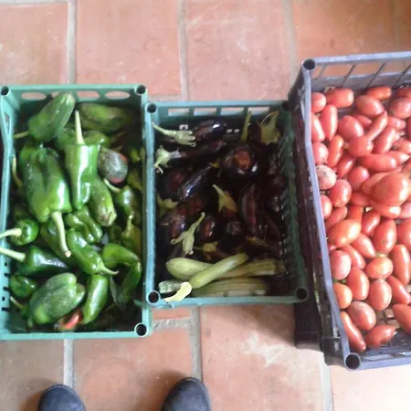 Alloggio per agriturismo Marco&andrea