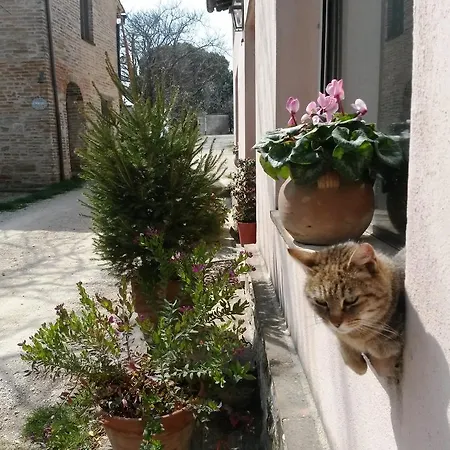 Marco & Andrea Alloggio per agriturismo Amelia