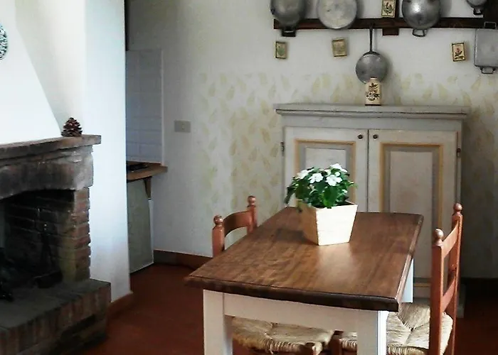 Marco & Andrea Collepina Amelia