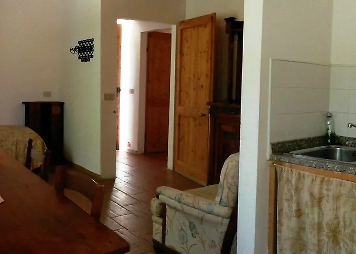 Marco & Andrea Collepina Amelia