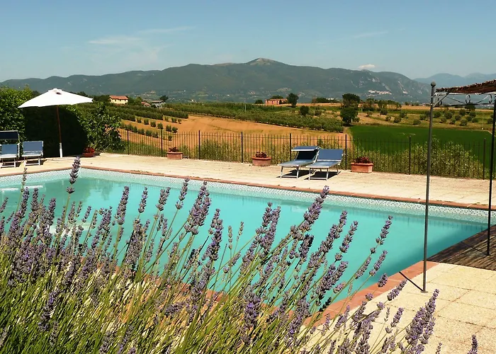 Marco & Andrea Collepina *