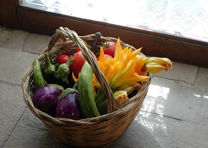 Marco & Andrea Collepina Bauernhof