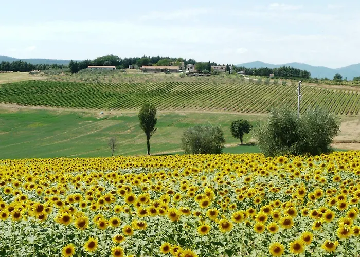 Marco & Andrea Collepina Bauernhof