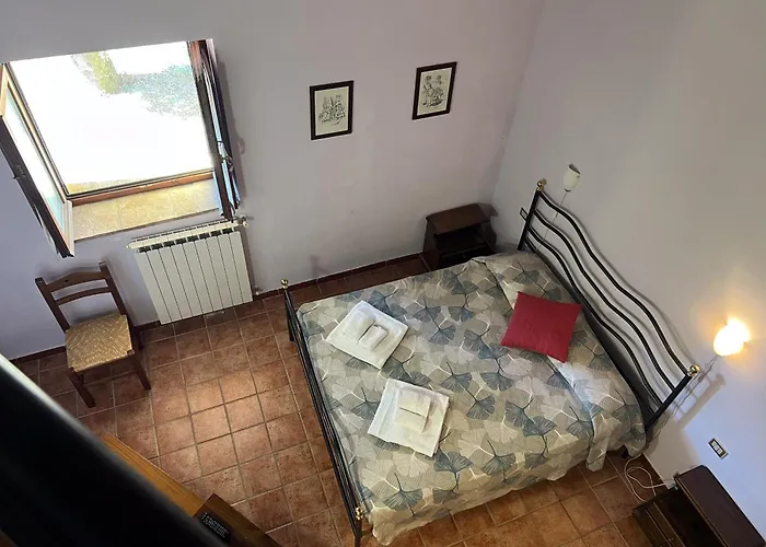 Marco & Andrea Collepina